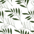 different elements of foliage, tropical leaves of green color on a white background